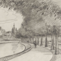 01 - Van Roijensingel: bomen maken plaats voor auto's